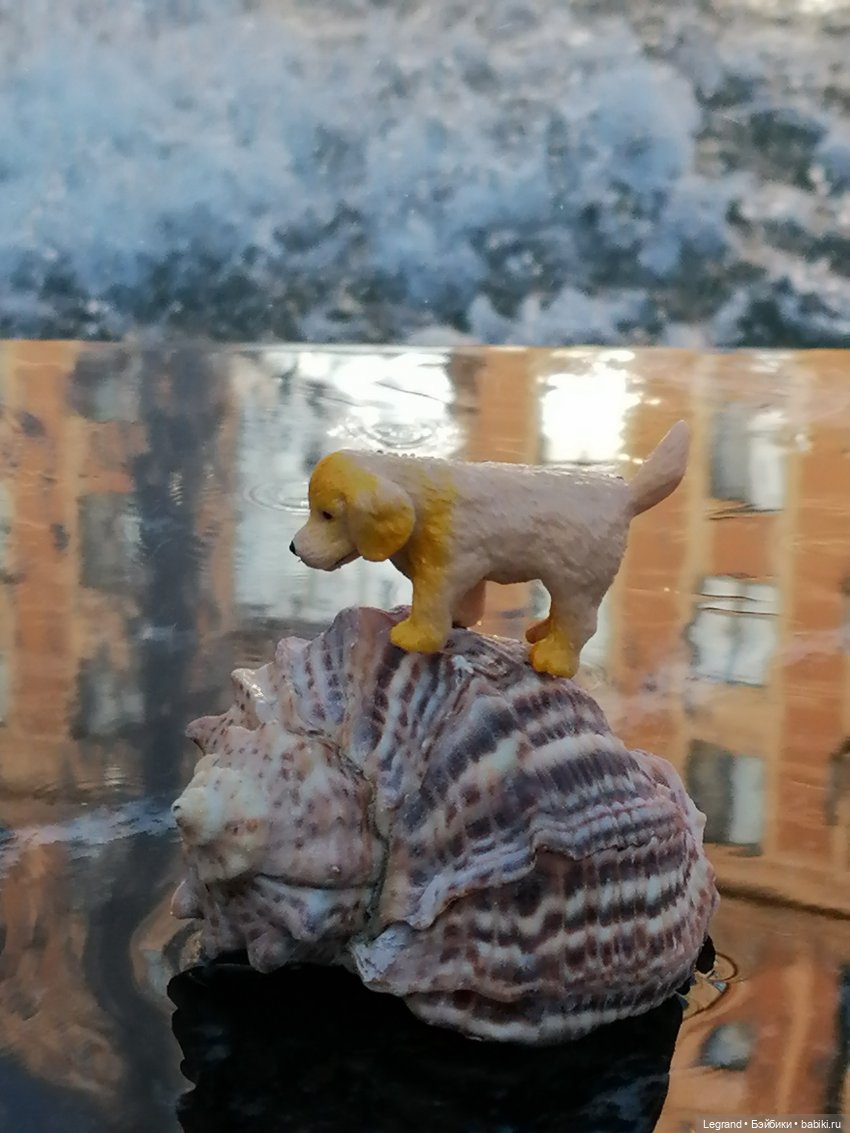 Лурения - Петербург: питомцы у фонтана (фото 3)