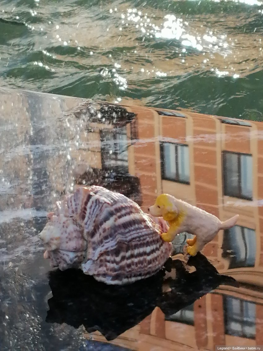 Лурения - Петербург: питомцы у фонтана