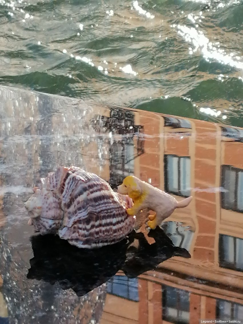 Лурения - Петербург: питомцы у фонтана