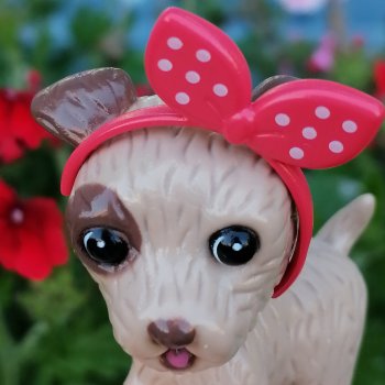 Лурения - Петербург: Лукум в Парадном