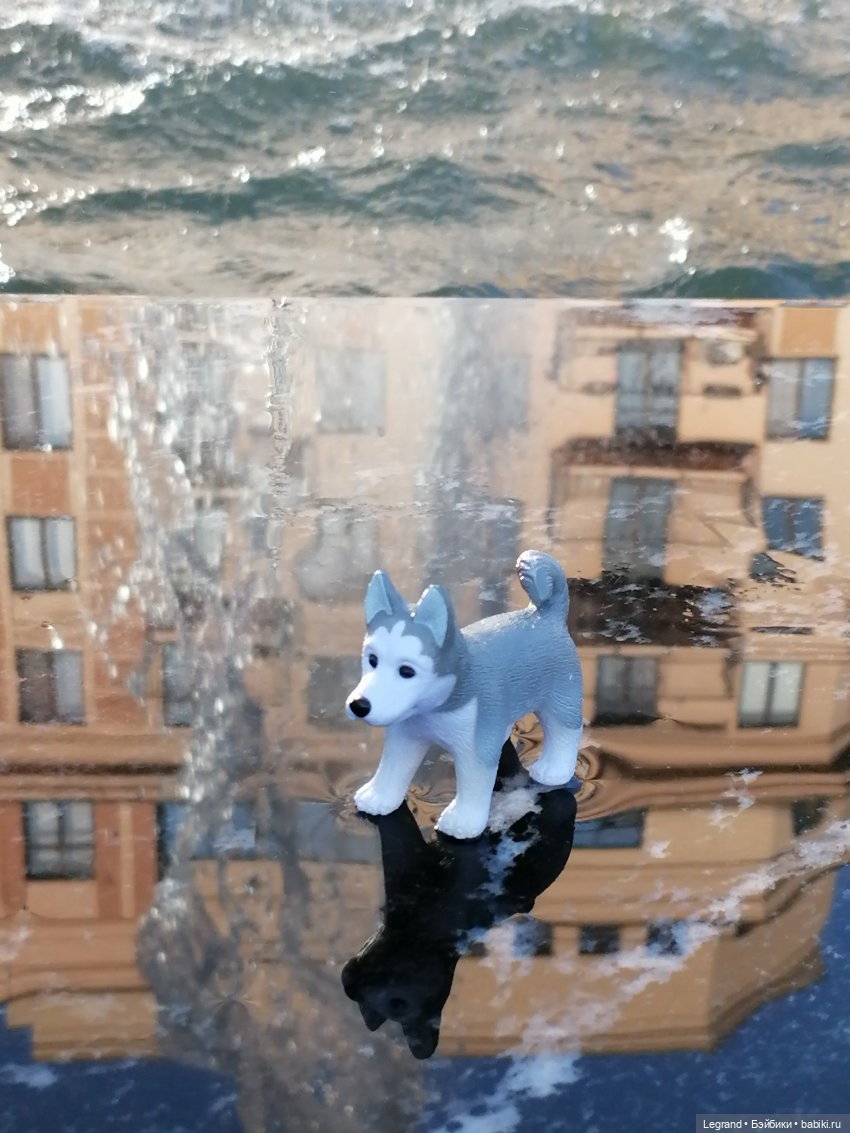 Лурения - Петербург: питомцы у фонтана