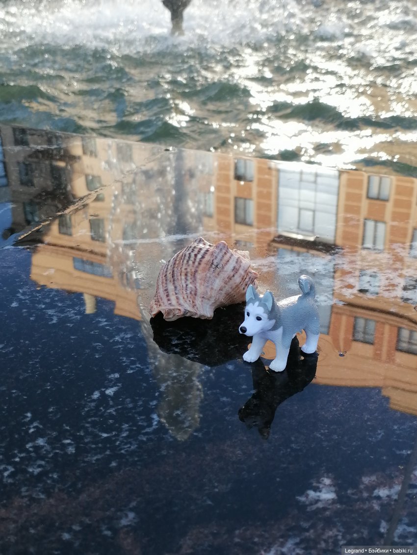 Лурения - Петербург: питомцы у фонтана