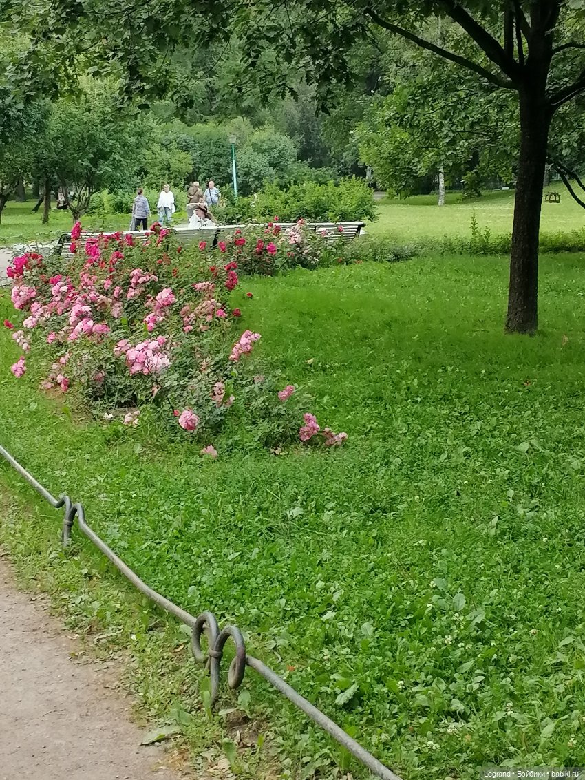 Санкт-Петербург: цветы в Таврическом саду