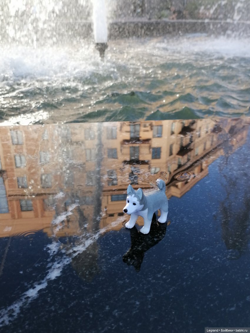 Лурения - Петербург: питомцы у фонтана