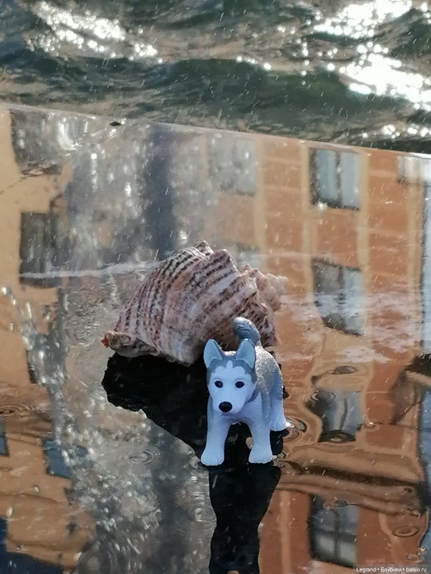 Лурения - Петербург: питомцы у фонтана