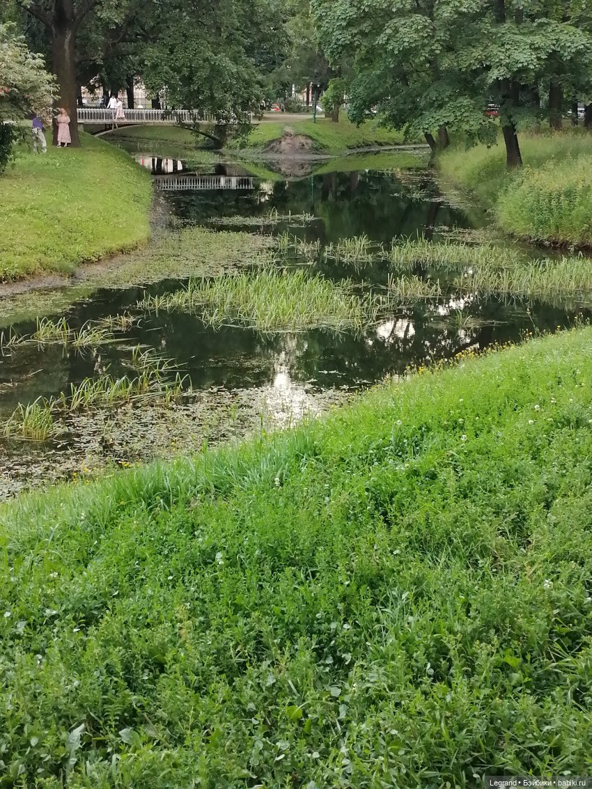 Санкт-Петербург: цветы в Таврическом саду