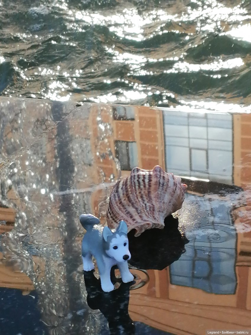 Лурения - Петербург: питомцы у фонтана