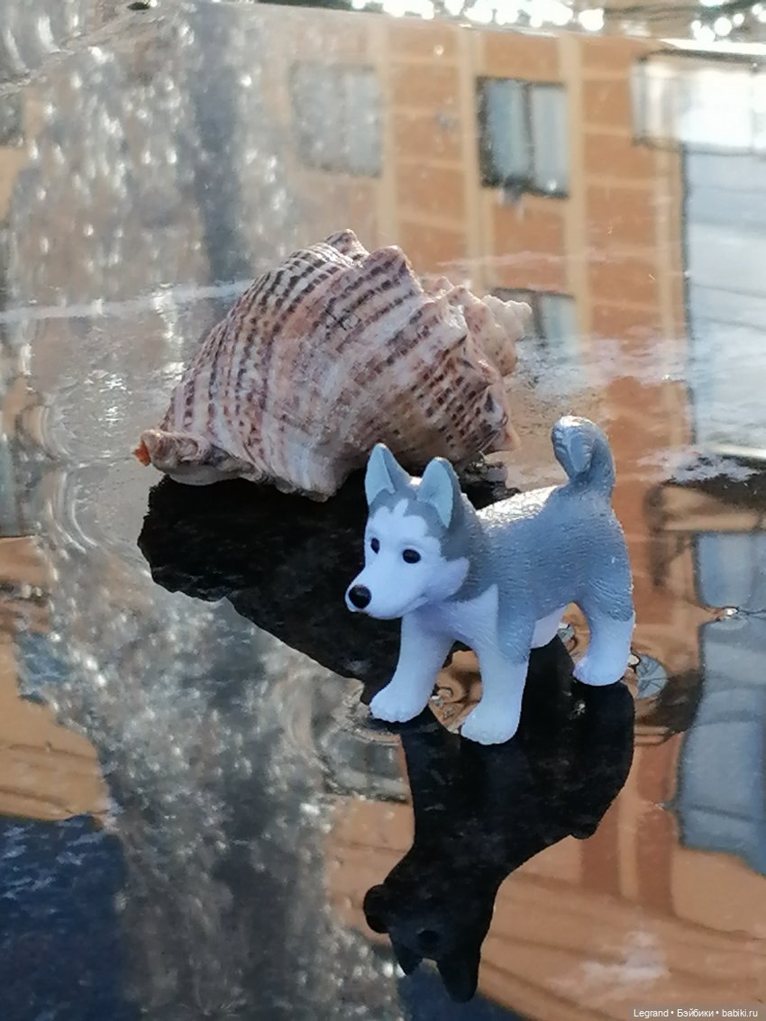 Лурения - Петербург: питомцы у фонтана