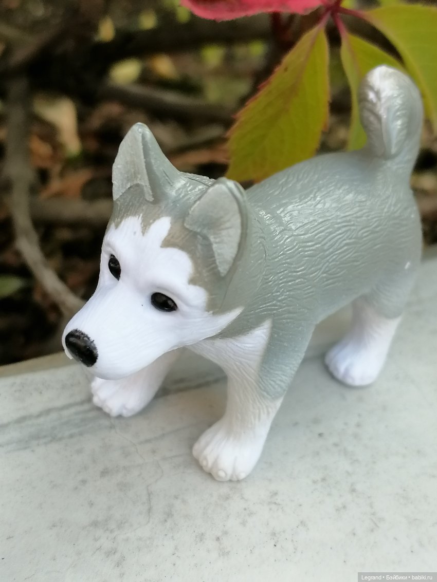 Лурения - Петербург: Милош и Абрикос на прогулке