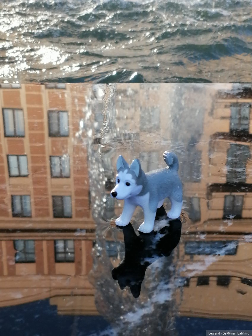 Лурения - Петербург: питомцы у фонтана