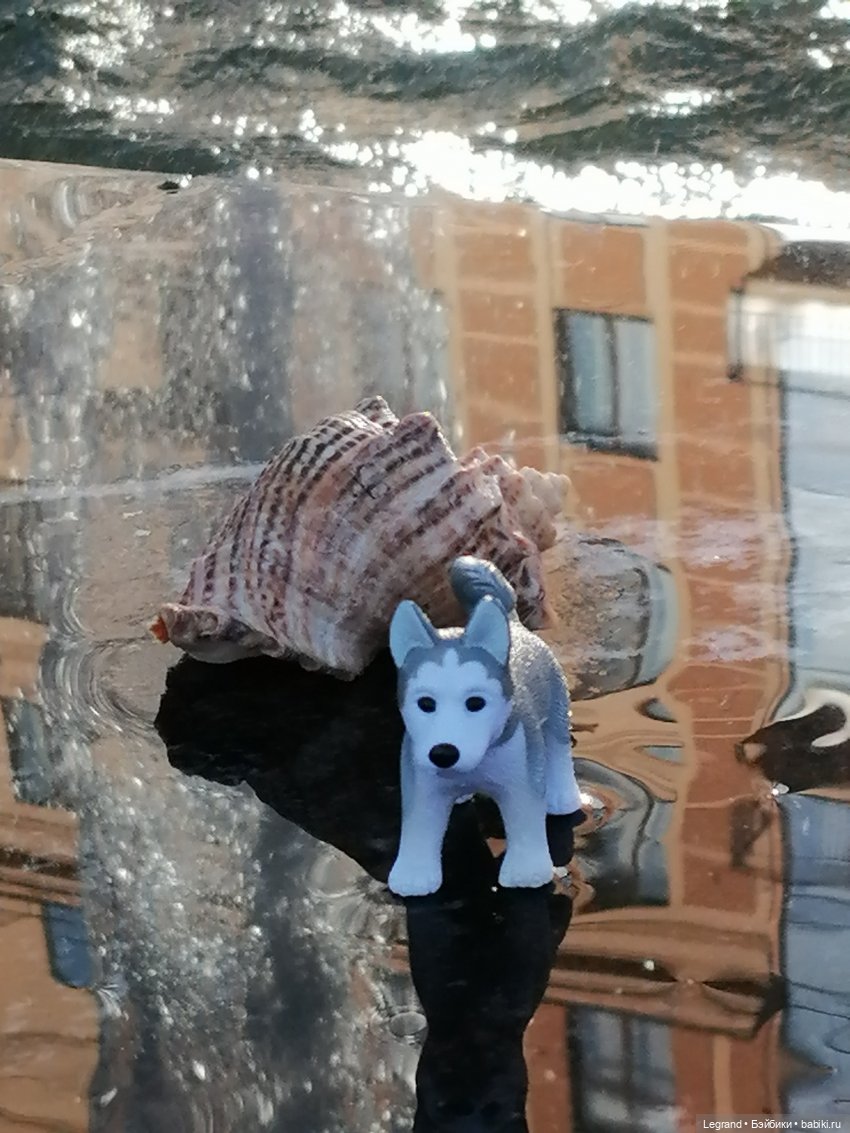 Лурения - Петербург: питомцы у фонтана