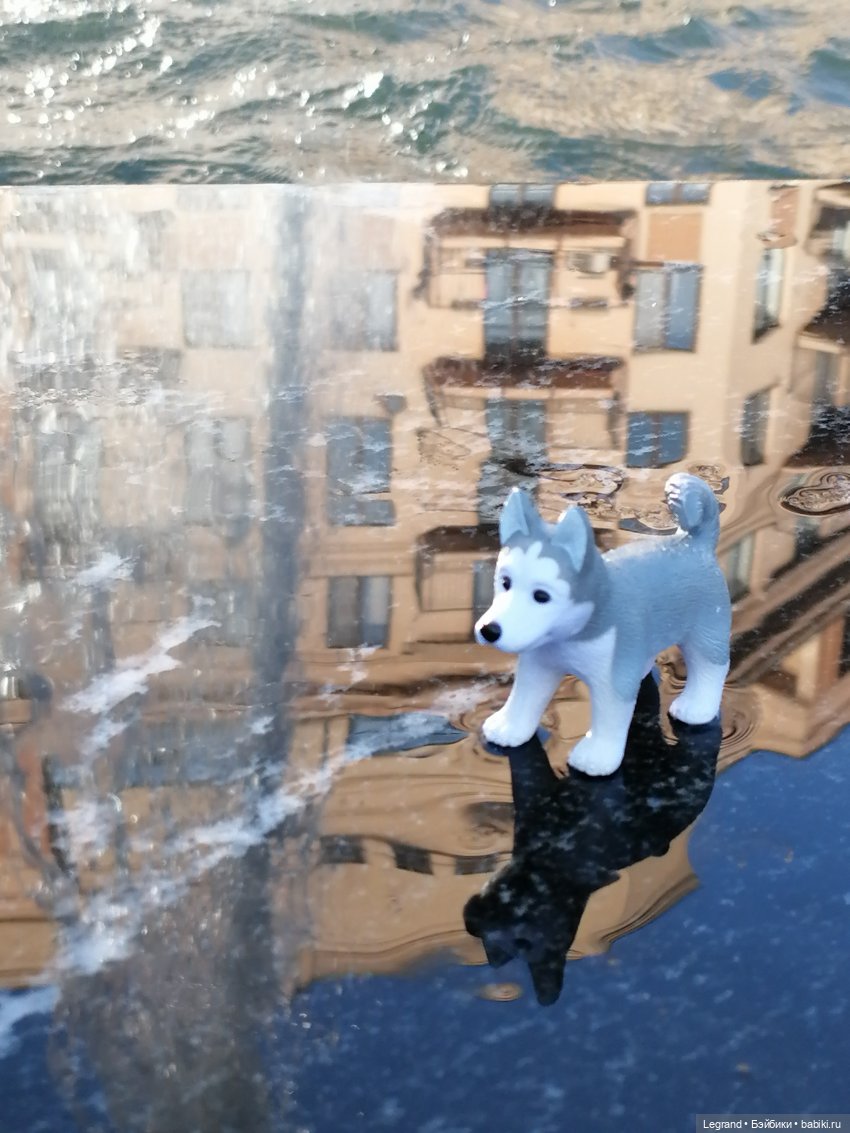 Лурения - Петербург: питомцы у фонтана