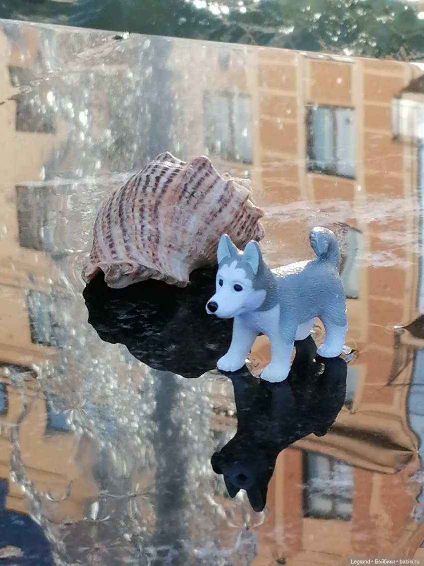 Лурения - Петербург: питомцы у фонтана