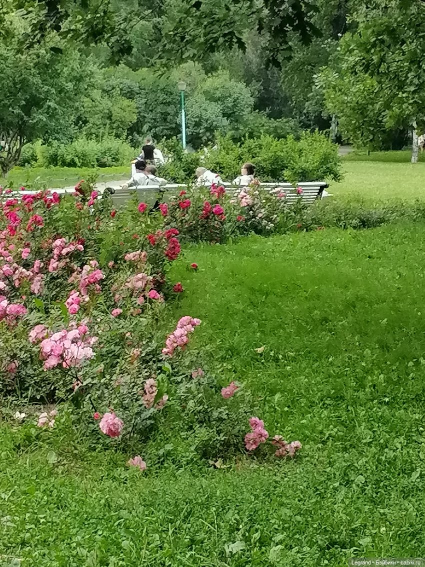 Санкт-Петербург: цветы в Таврическом саду