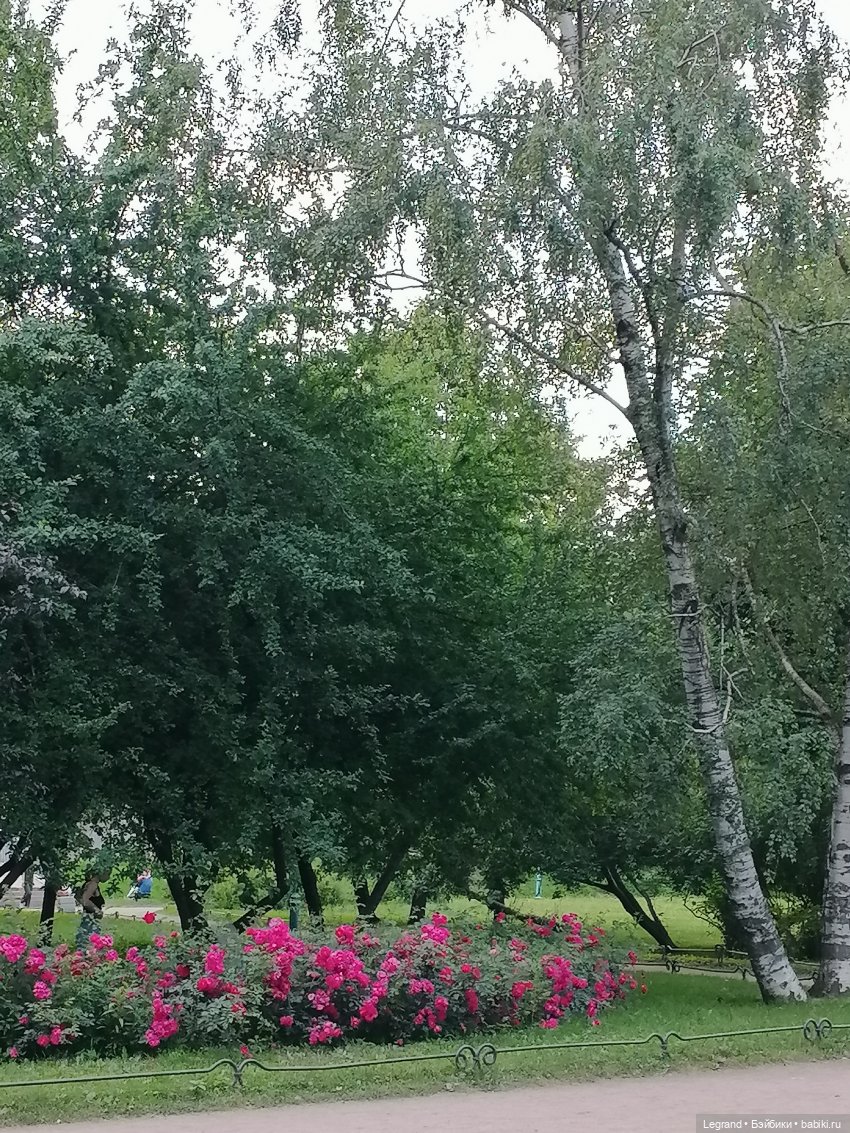 Санкт-Петербург: цветы в Таврическом саду