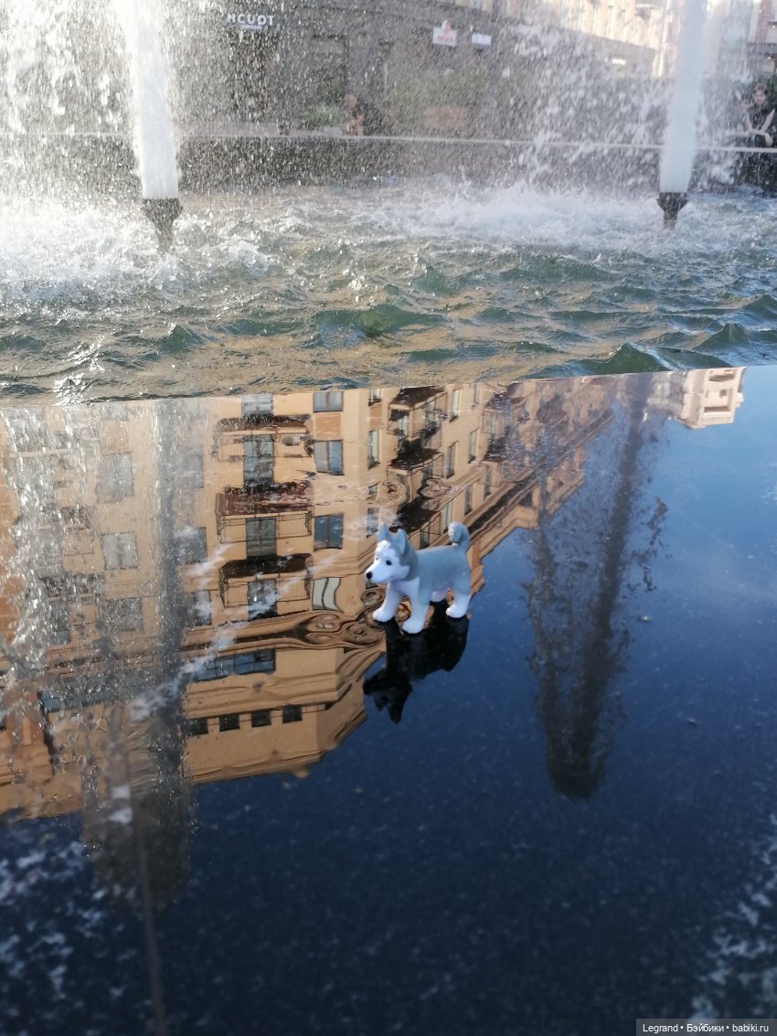 Лурения - Петербург: питомцы у фонтана