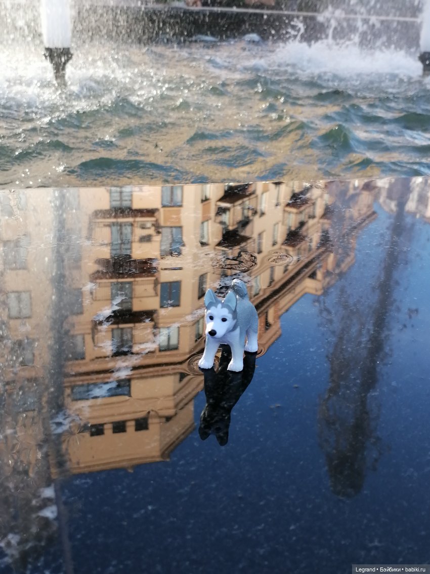 Лурения - Петербург: питомцы у фонтана