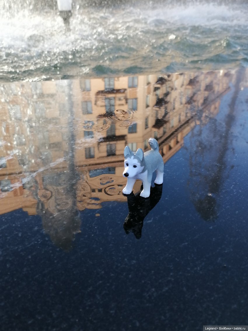 Лурения - Петербург: питомцы у фонтана