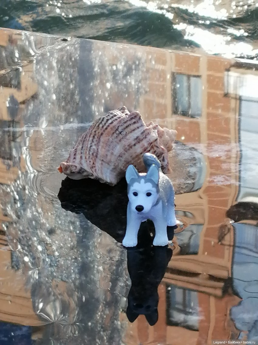 Лурения - Петербург: питомцы у фонтана