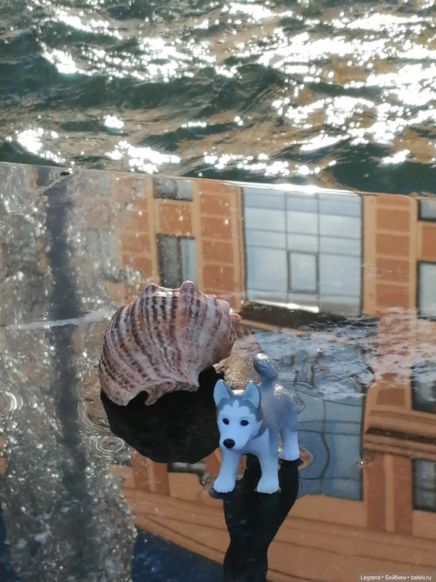 Лурения - Петербург: питомцы у фонтана