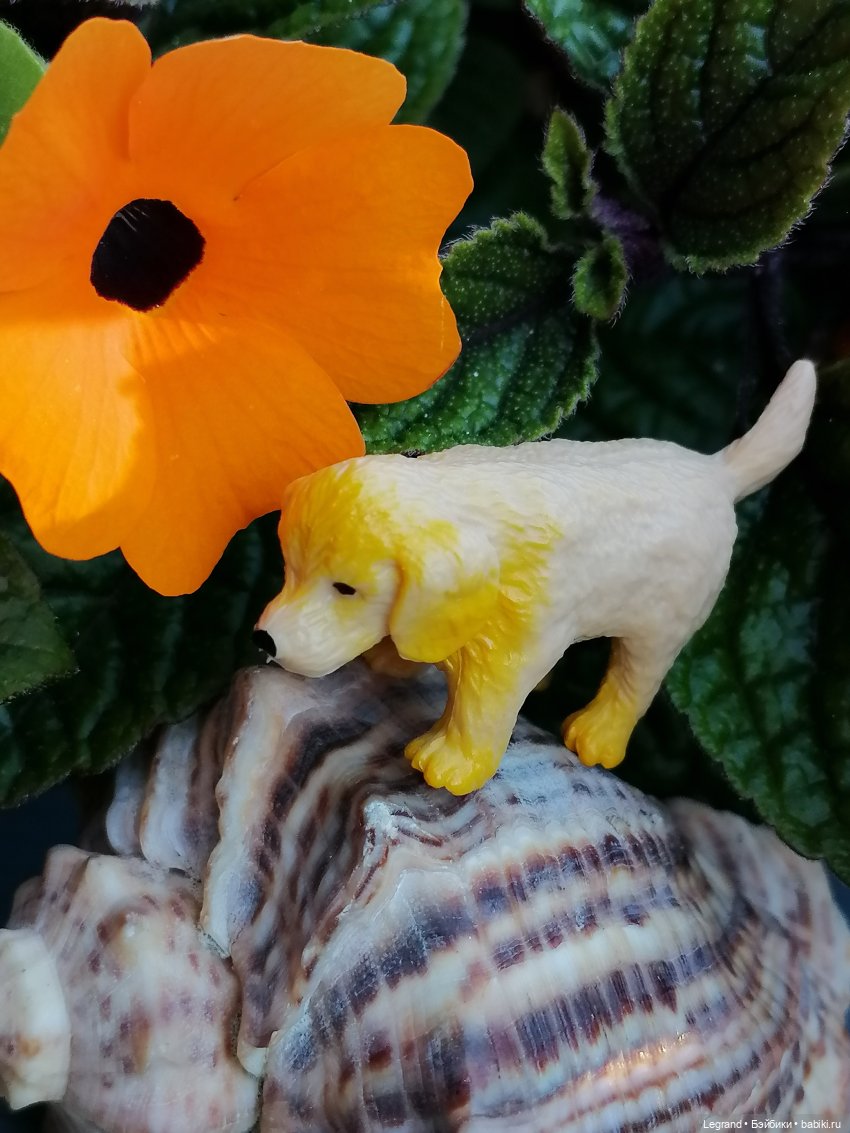 Лурения - Петербург: Милош и Абрикос на прогулке