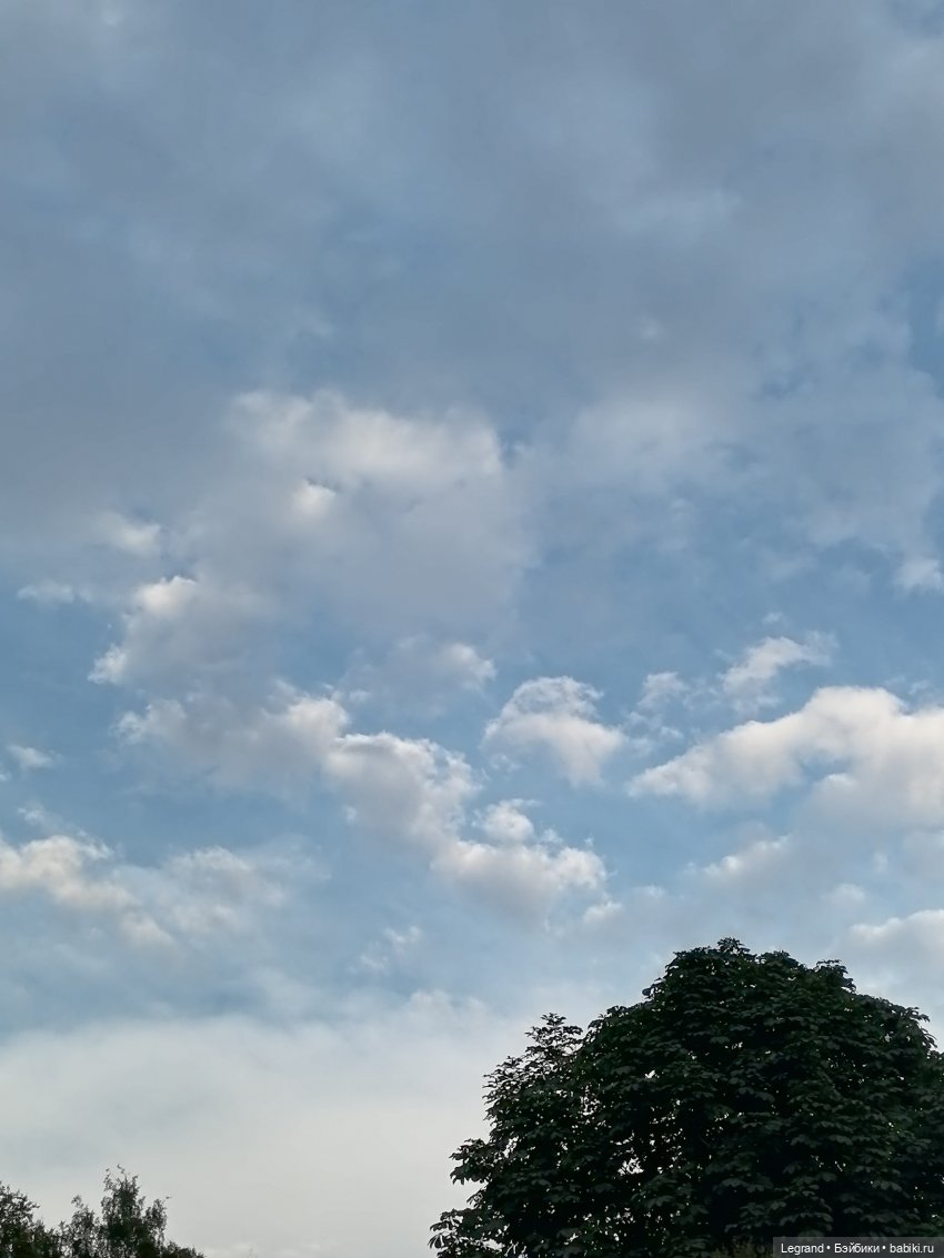 Санкт-Петербург: цветы в Таврическом саду (фото 5)