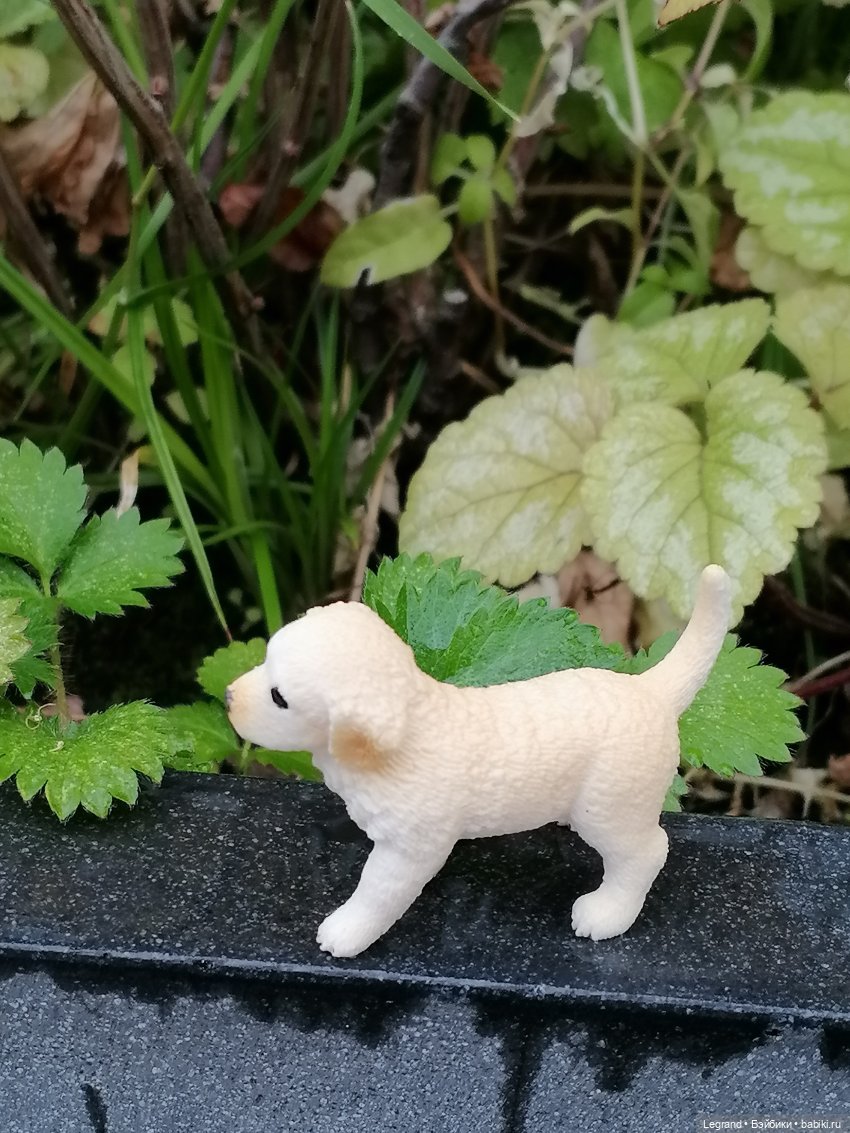 Санкт-Петербург: особняк И.К. Мясникова и немного Нектарина