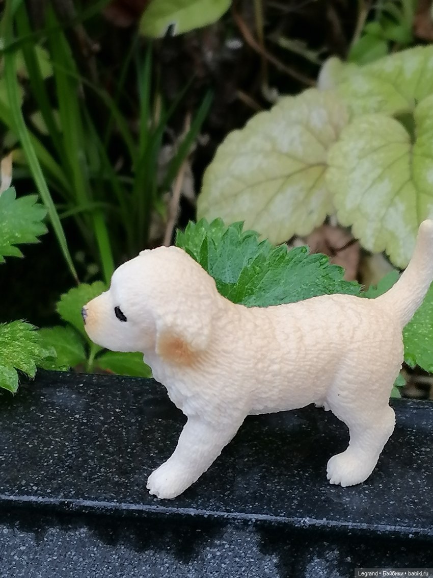 Санкт-Петербург: особняк И.К. Мясникова и немного Нектарина