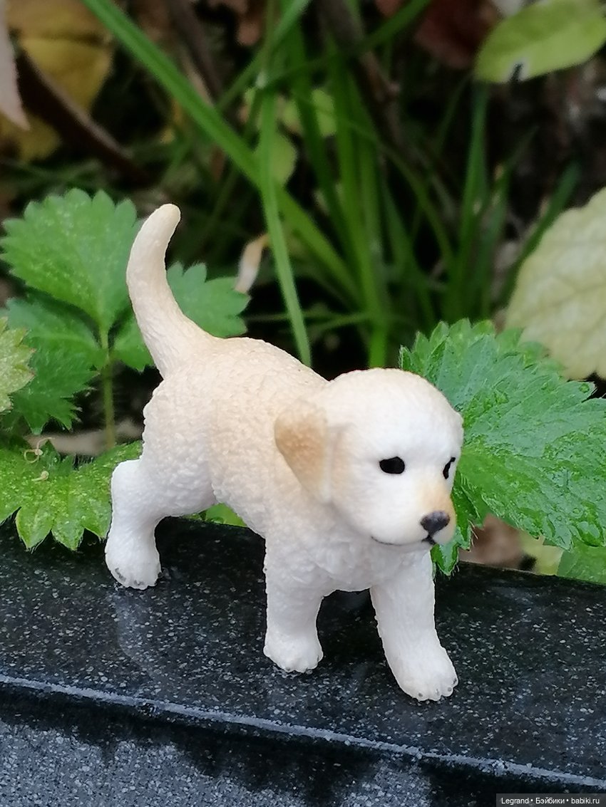 Санкт-Петербург: особняк И.К. Мясникова и немного Нектарина