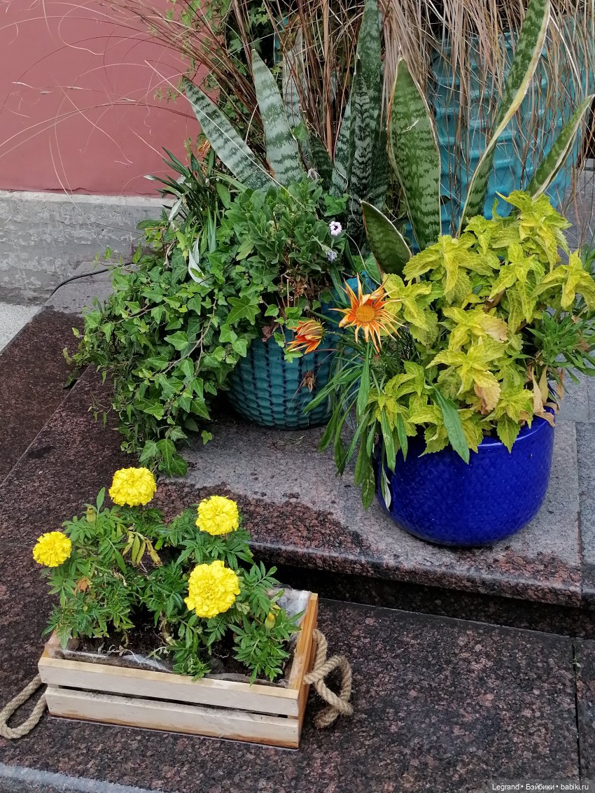 Санкт-Петербург: особняк И.К. Мясникова и немного Нектарина