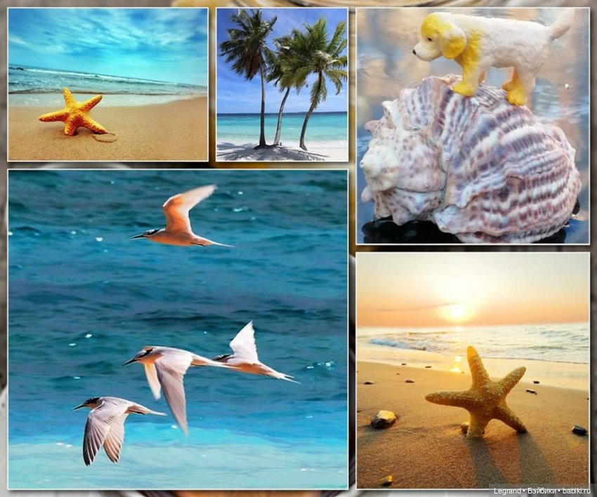 Лурения - Петербург: питомцы у фонтана