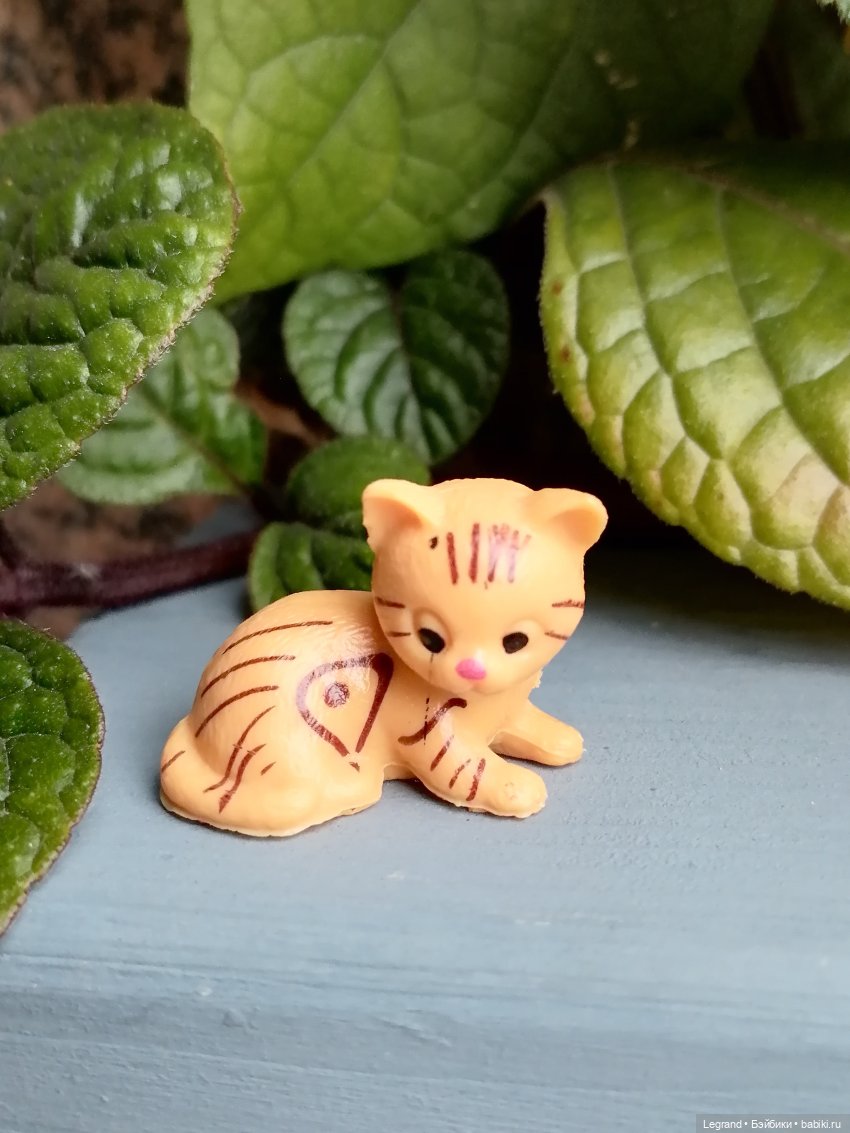 Лурения: перепись кошачьих - 2025 🤗