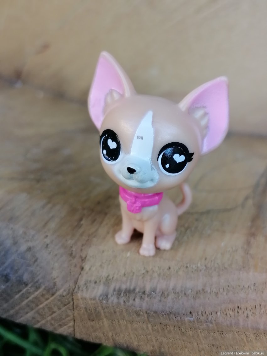 Санкт-Петербург: Ванилька в ТК "Невский Центр"