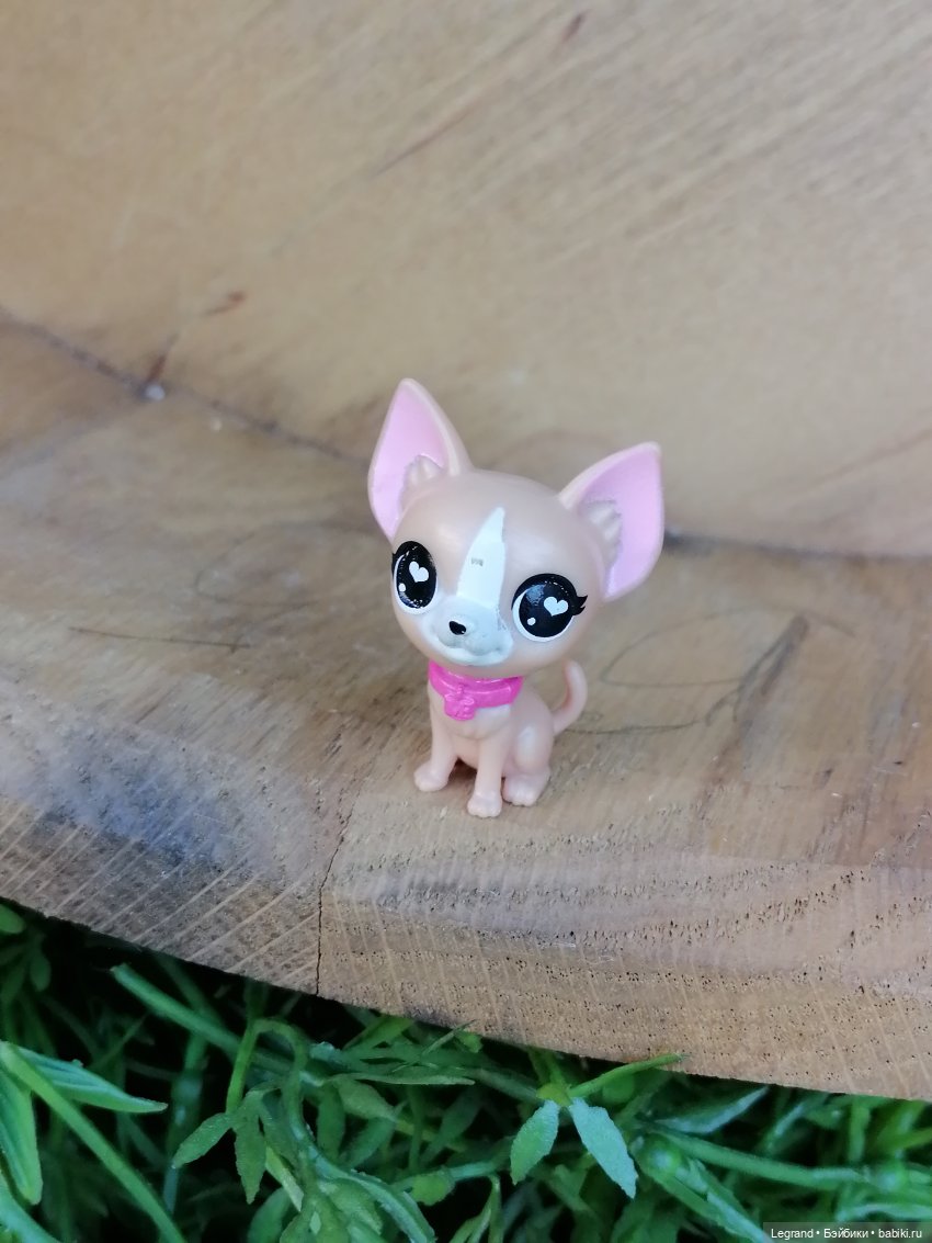 Санкт-Петербург: Ванилька в ТК "Невский Центр"