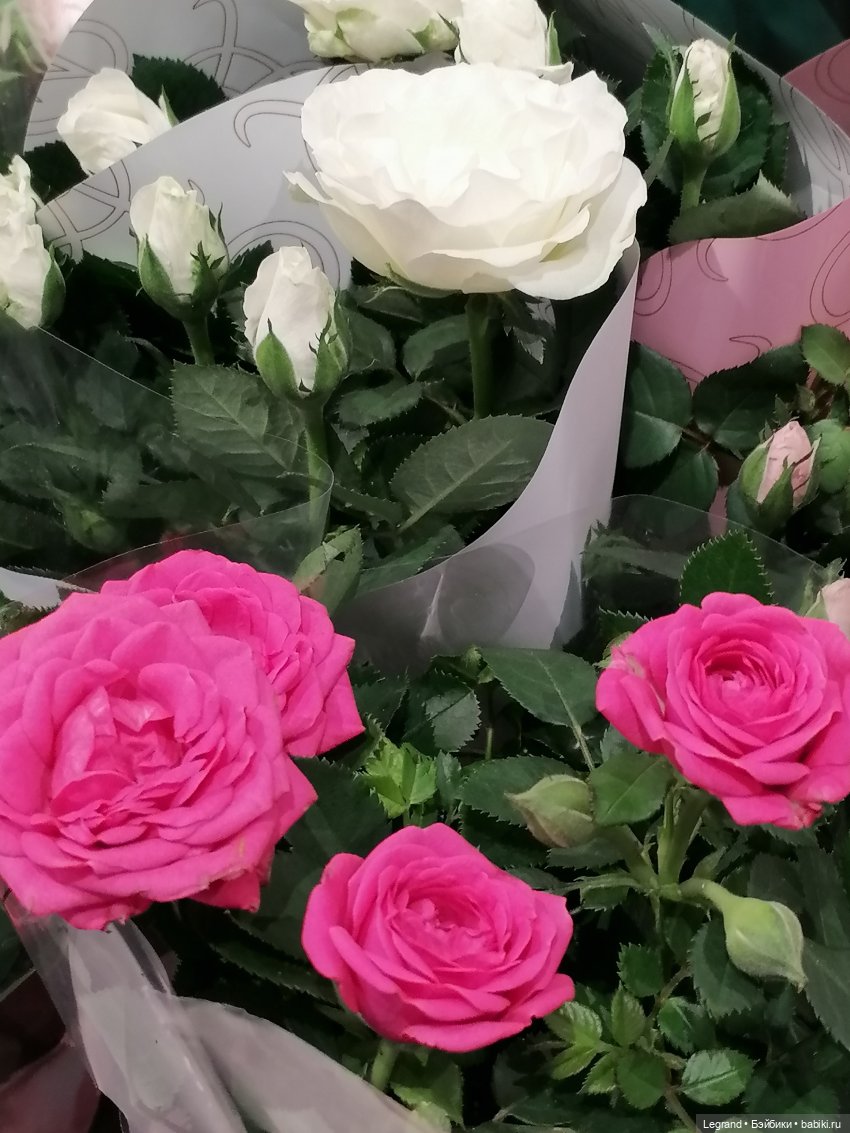 Санкт-Петербург: Ванилька в ТК "Невский Центр"