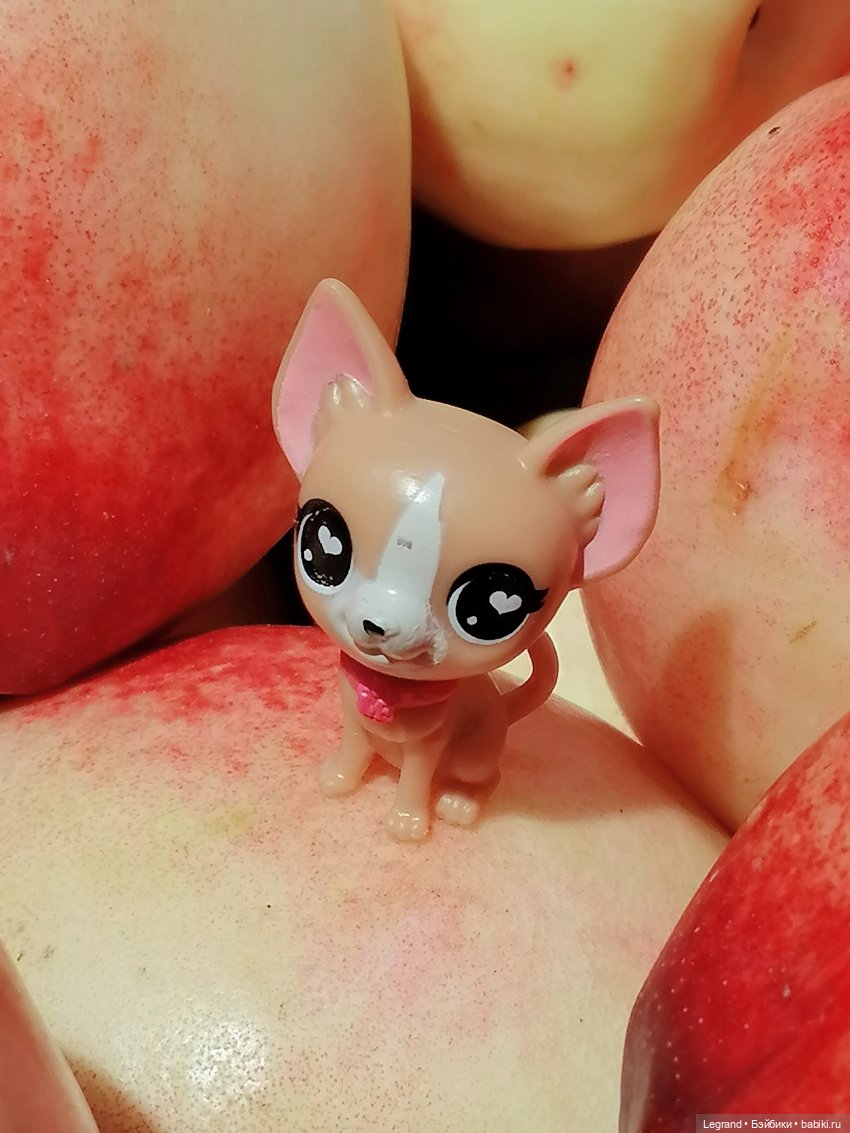 Санкт-Петербург: Ванилька в ТК "Невский Центр"