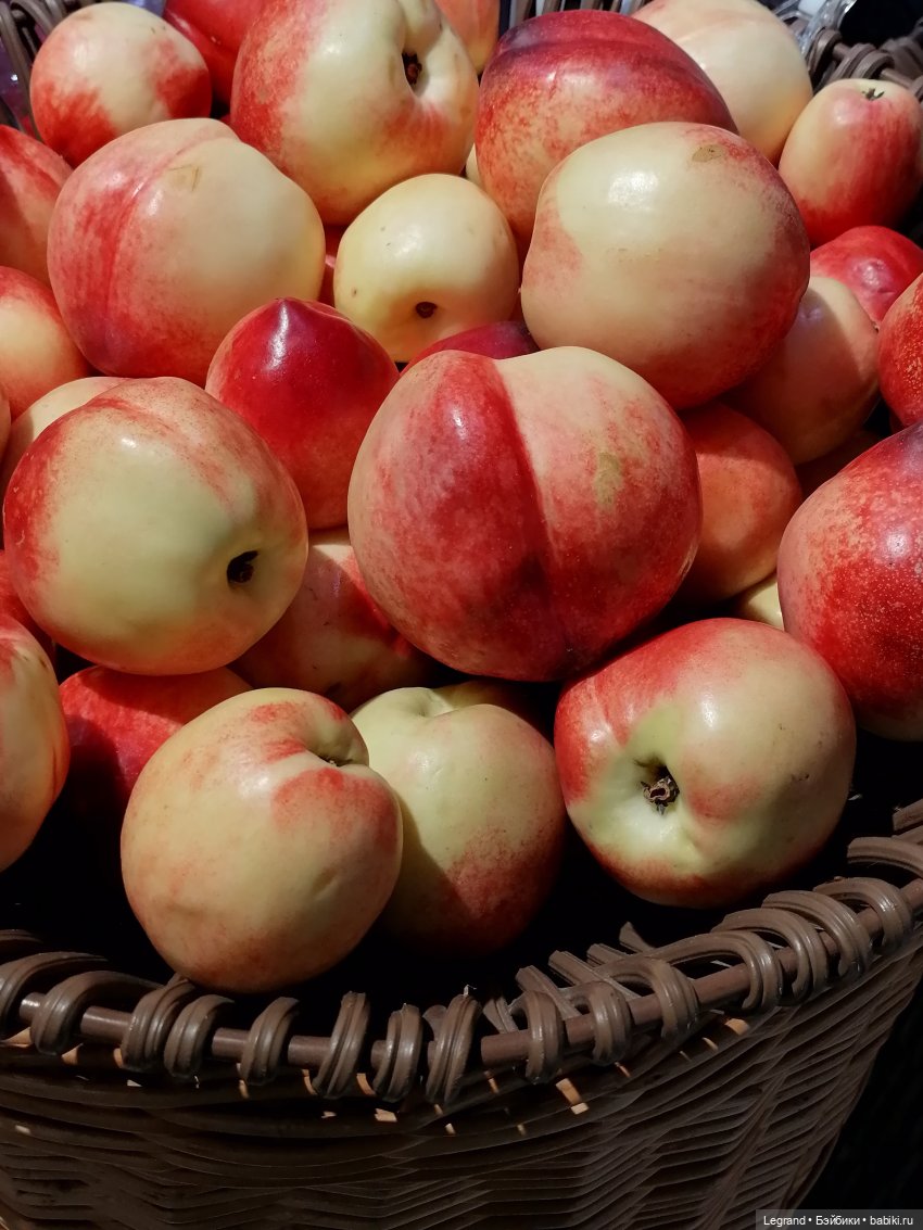 Санкт-Петербург: Ванилька в ТК "Невский Центр"