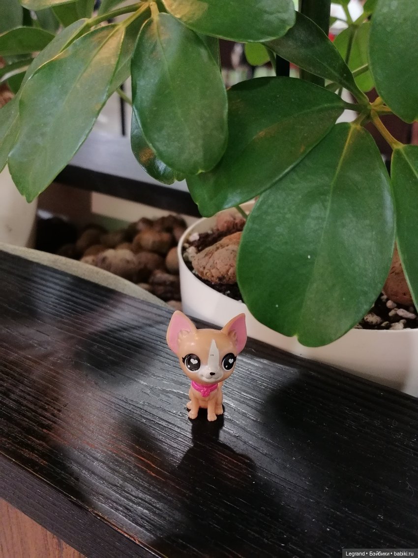 Санкт-Петербург: Ванилька в ТК "Невский Центр"