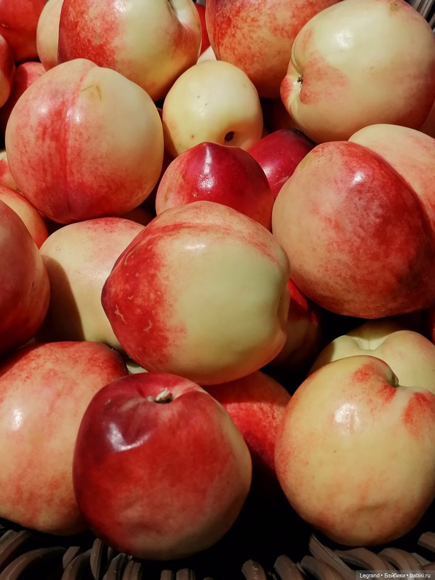 Санкт-Петербург: Ванилька в ТК "Невский Центр"