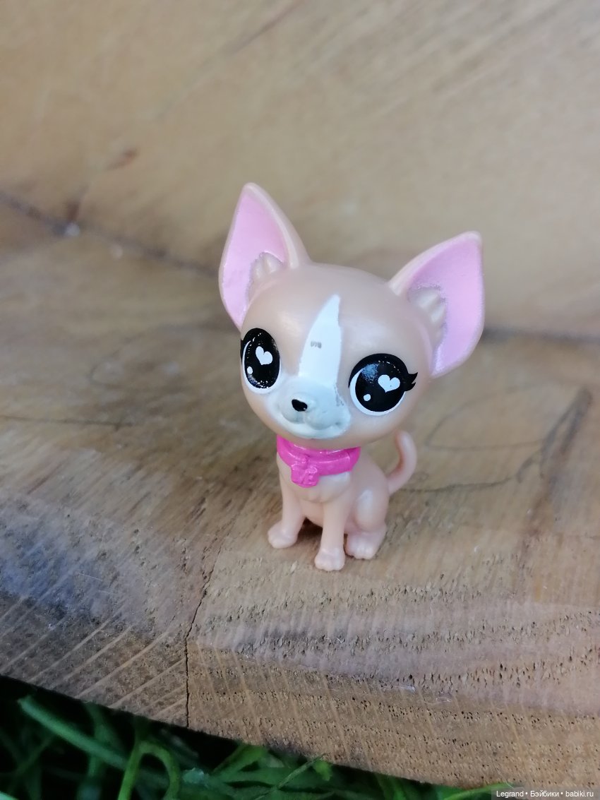 Санкт-Петербург: Ванилька в ТК "Невский Центр"