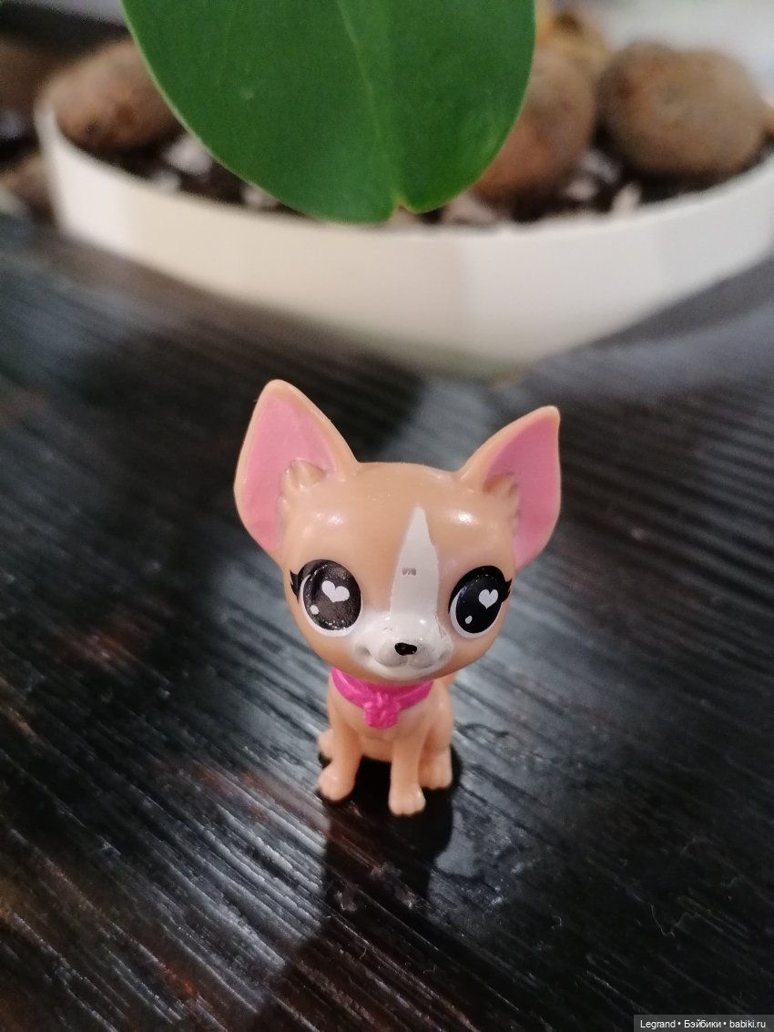 Санкт-Петербург: Ванилька в ТК "Невский Центр"