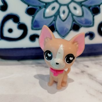 Санкт-Петербург: Ванилька в ТК "Невский Центр"