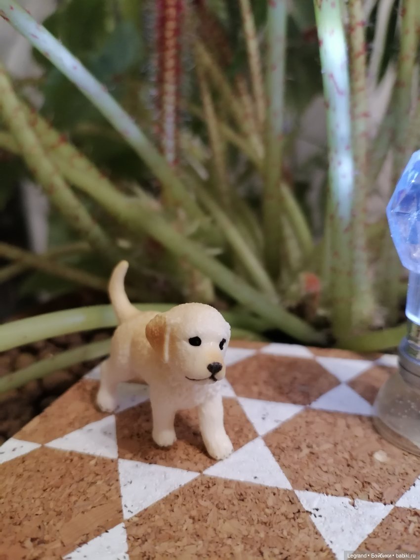 Лурения: Анналиса и Нектарин