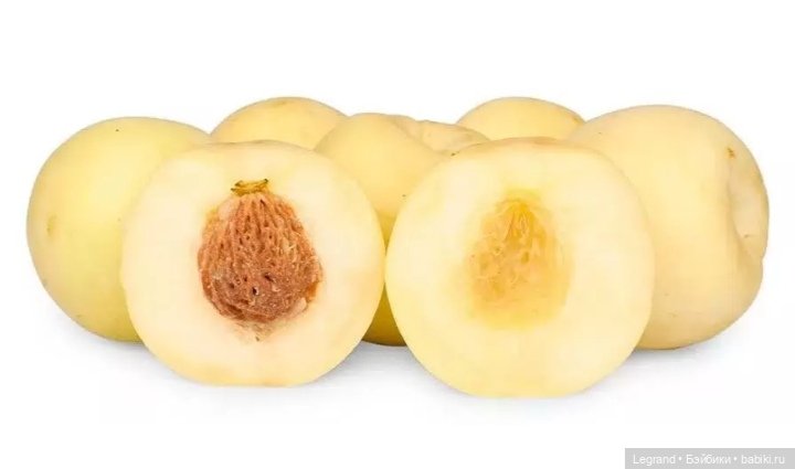 Лурения: Анналиса и Нектарин (фото 7)