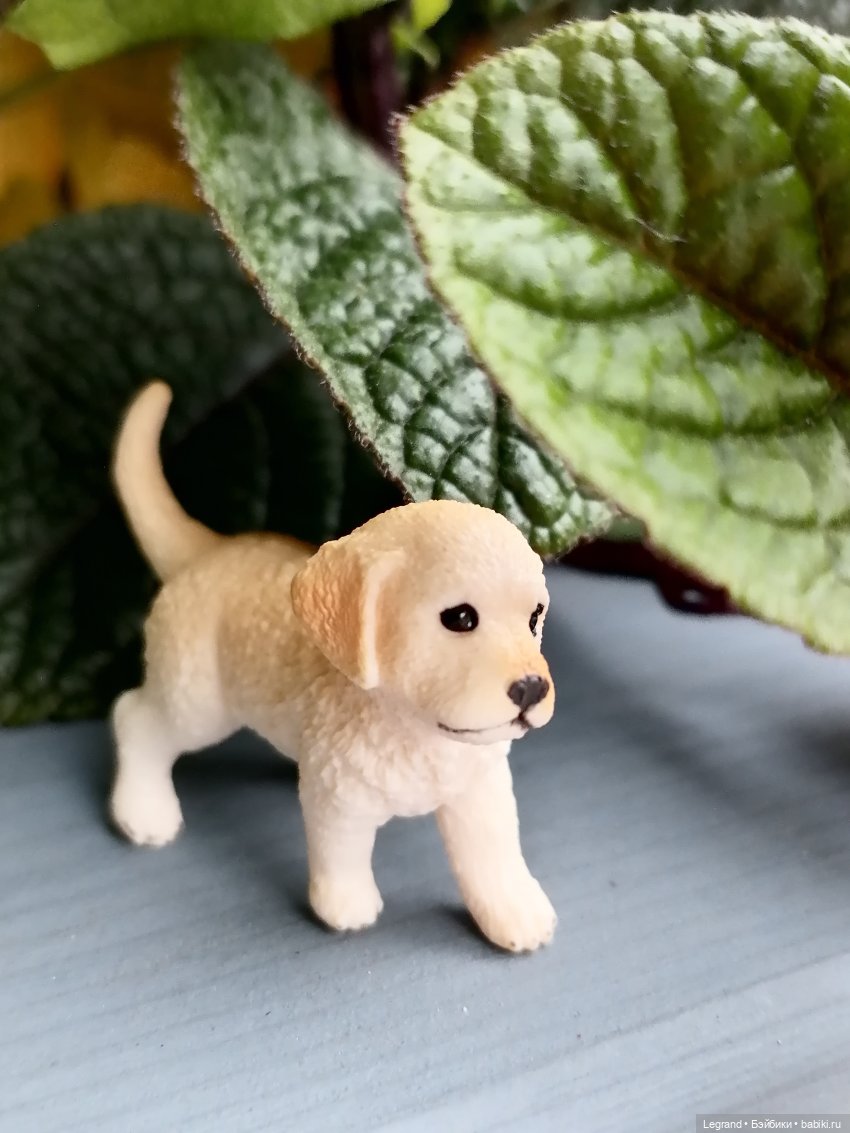 Лурения: Анналиса и Нектарин