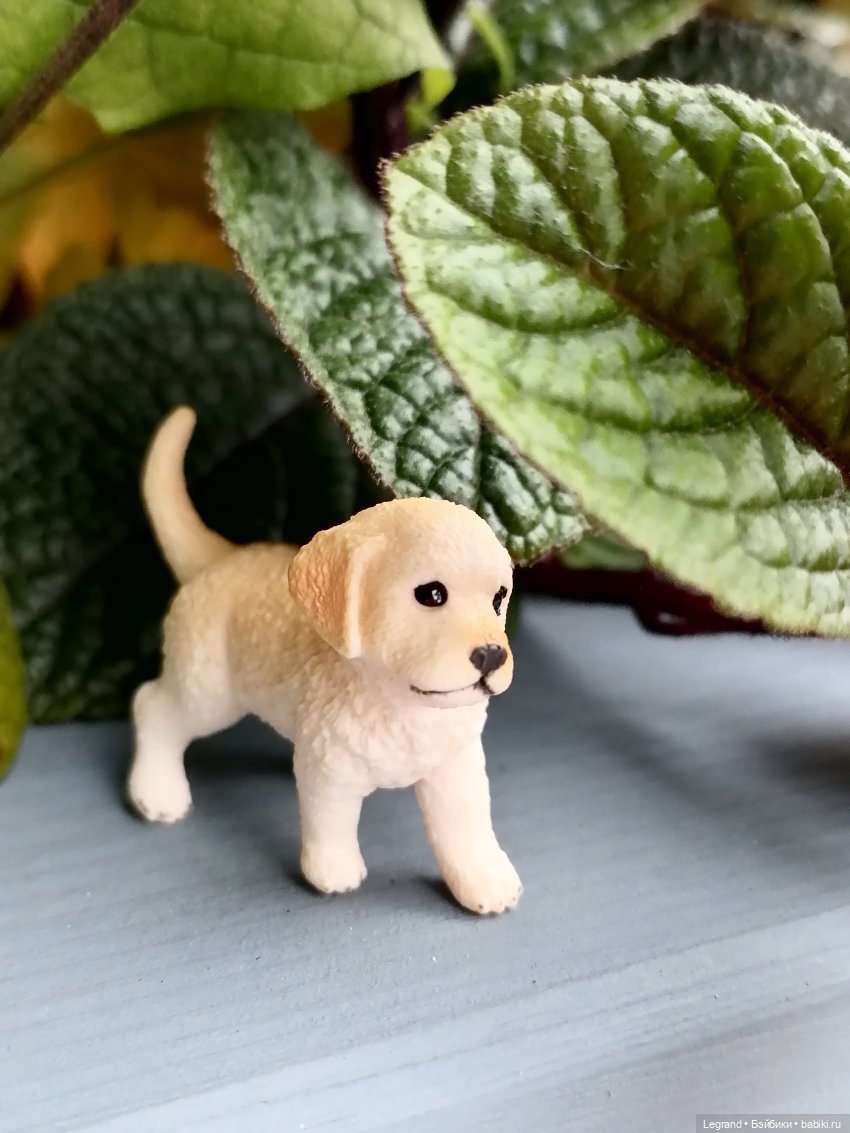 Лурения: Анналиса и Нектарин