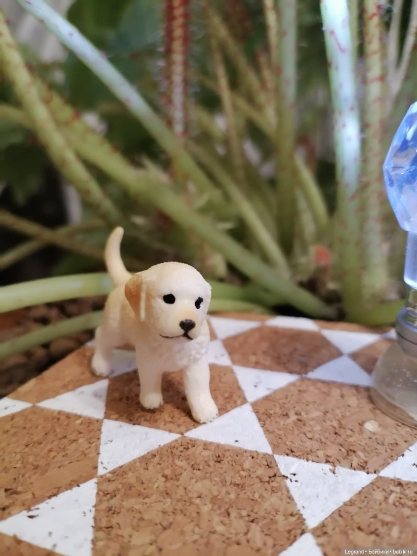 Лурения: Анналиса и Нектарин