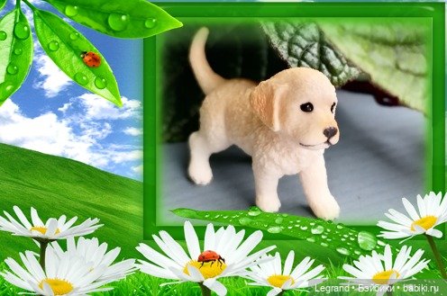 Лурения: Анналиса и Нектарин (фото 8)