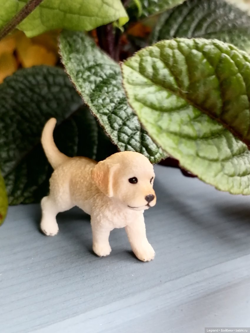 Лурения: Анналиса и Нектарин