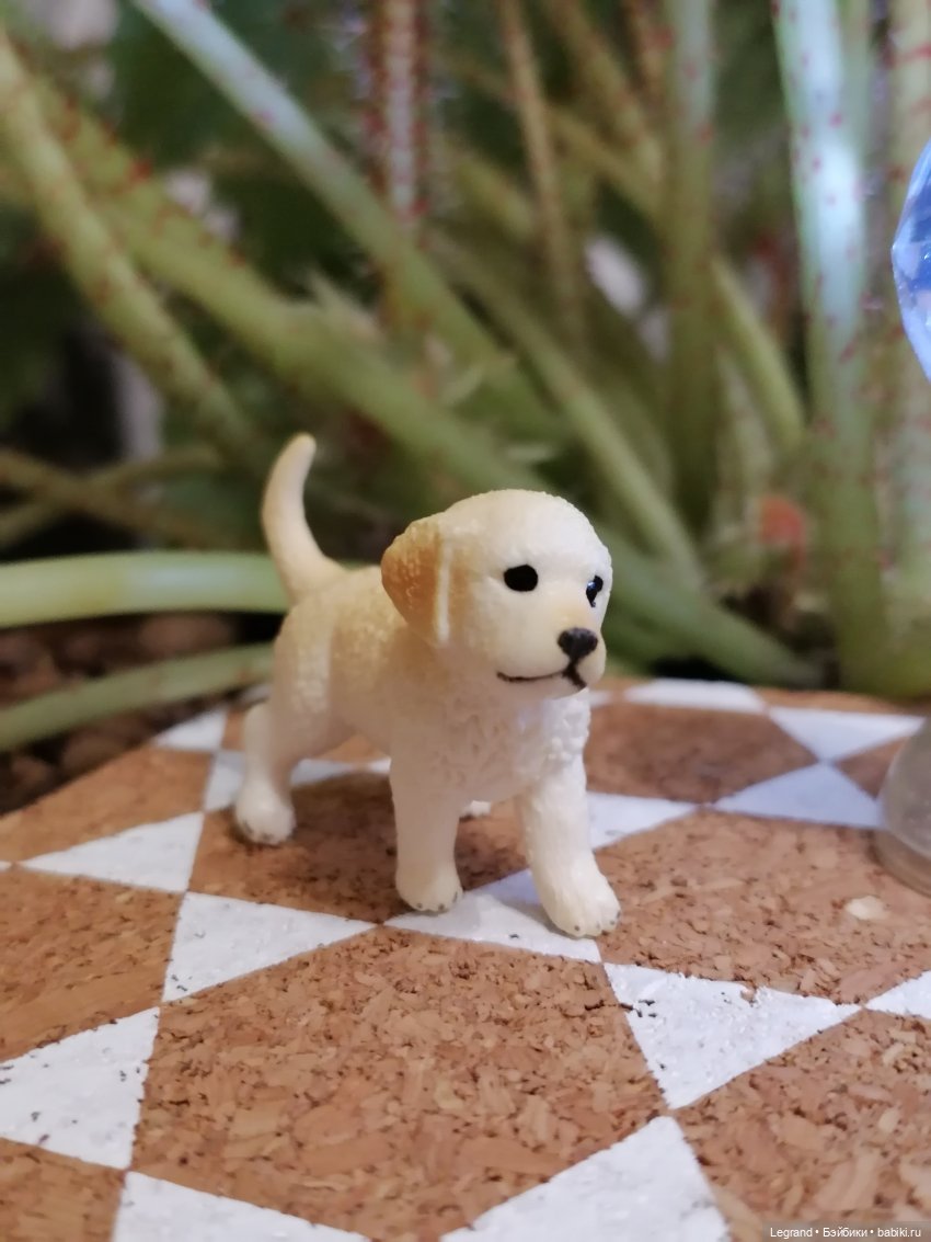 Лурения: Анналиса и Нектарин